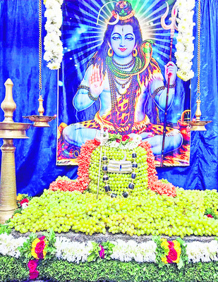 జంబుకేశ్వరుడికి   ద్రాక్షపండ్లతో అలంకరణ 2