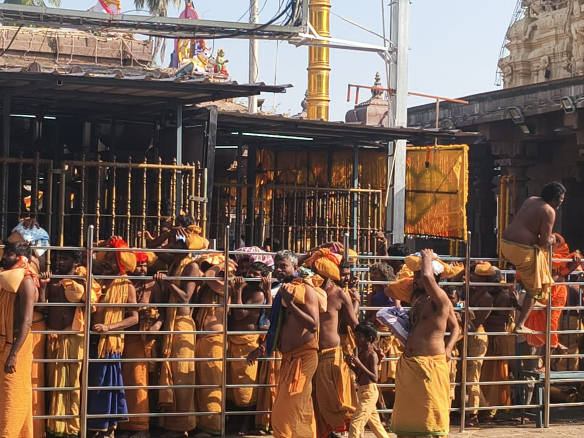 Maha Shivaratri 2026 : Siva Swamy Protest at Srisailam Temple14