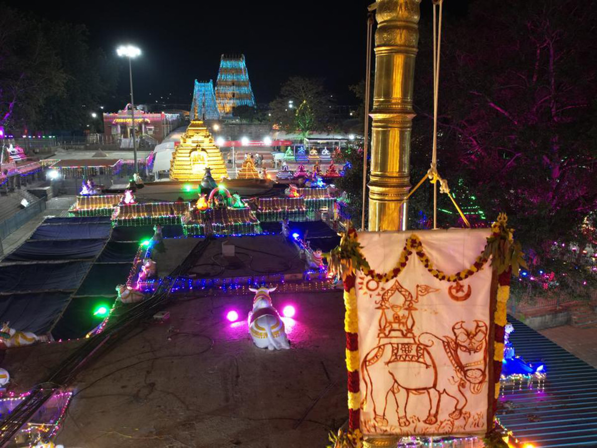 Maha Shivaratri 2026 : Srisailam Brahmotsavams 2026 Photos17