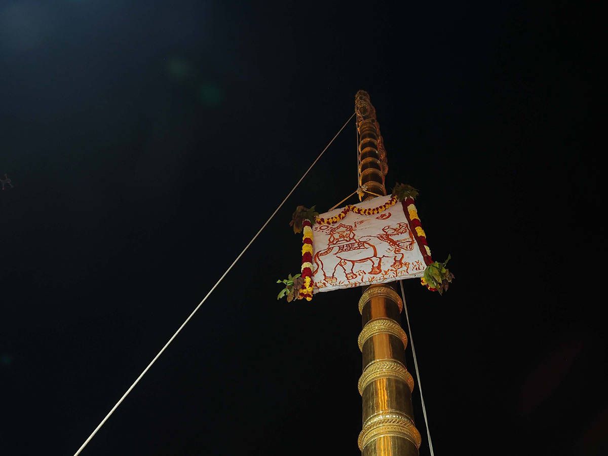 Maha Shivaratri 2026 : Srisailam Brahmotsavams 2026 Photos18