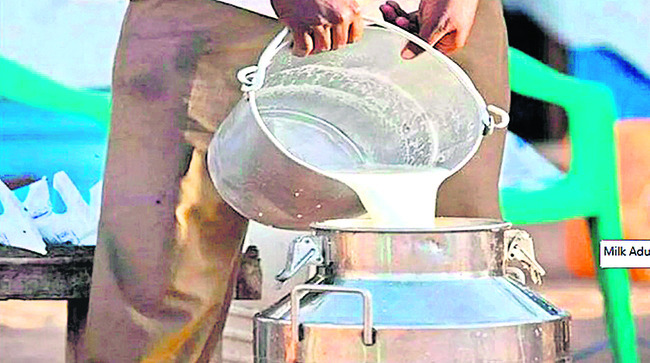 కల్తీ పాల తయారీ ఇలా.. 
3