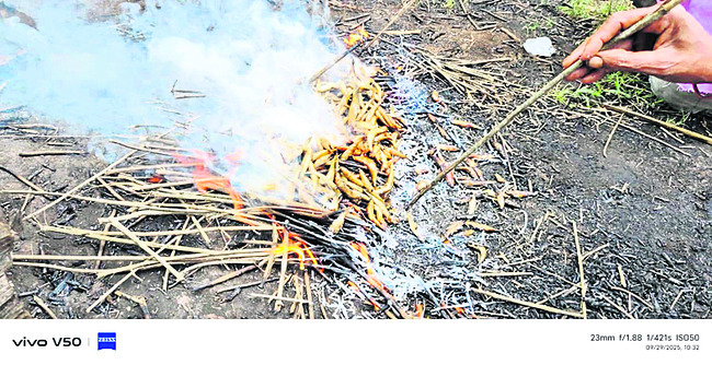 జిహ్వచేపల్యం 1