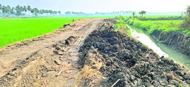 రెచ్చిపోతున్న మట్టి మాఫియా 2