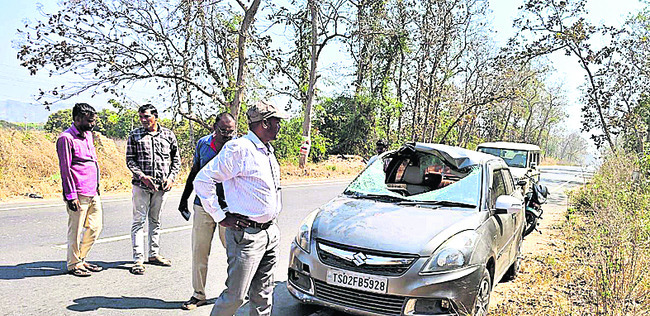 జింక అడ్డురావడంతో రోడ్డు ప్రమాదం1