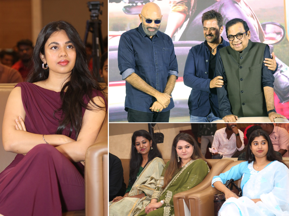 Seetha Payanam Movie Pre Release Event Photos1