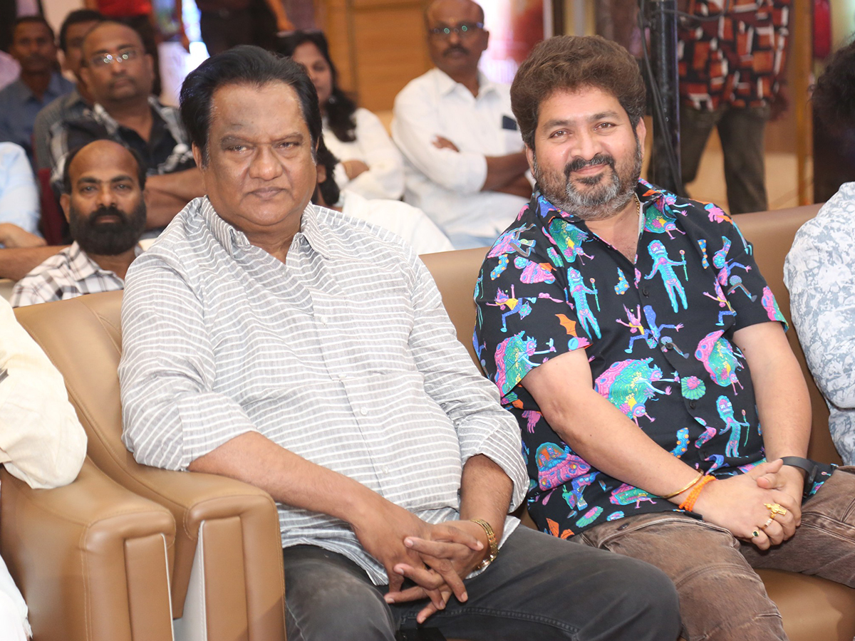 Seetha Payanam Movie Pre Release Event Photos13