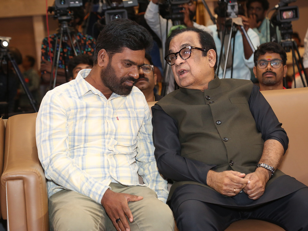 Seetha Payanam Movie Pre Release Event Photos16