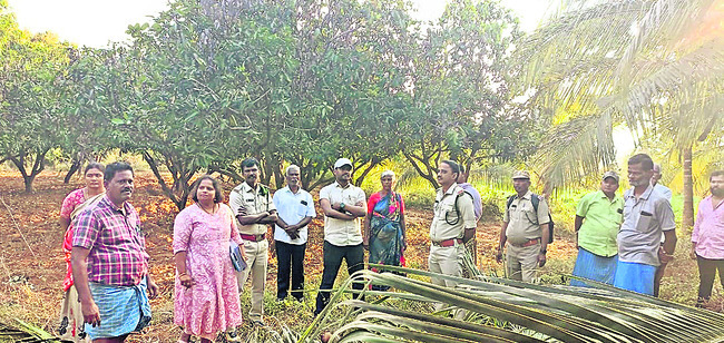ఏనుగులను తరిమేందుకు చర్యలు 
3