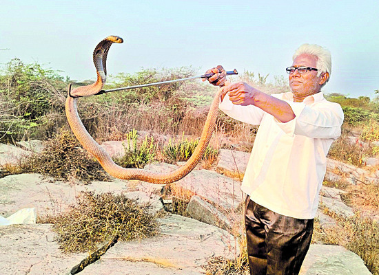 పిల్లలందరికీ ఆల్బెండజోల్‌ మాత్రలు తప్పనిసరి 2