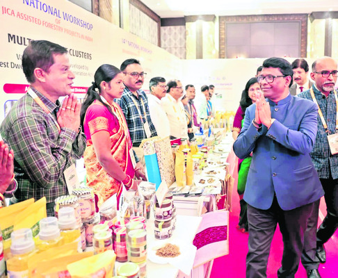 ఆరోగ్యకర పర్యావరణం2