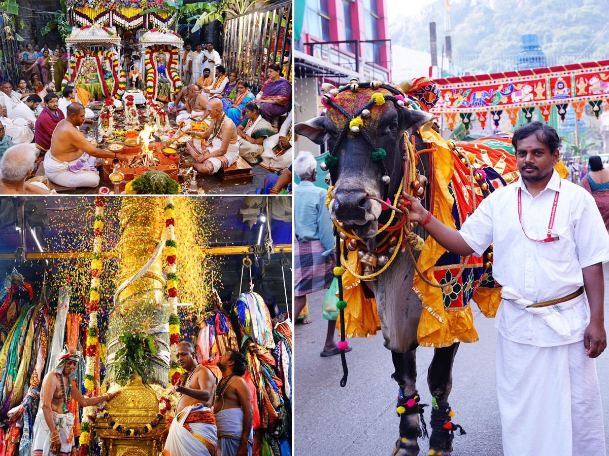 Srikalahasti Maha Shivaratri Brahmotsavam 20261