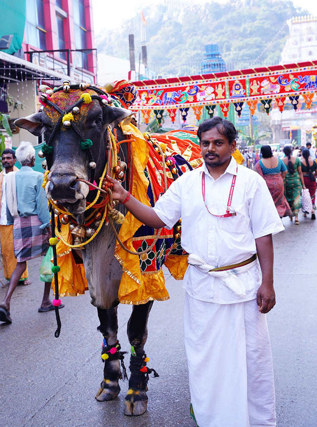 Srikalahasti Maha Shivaratri Brahmotsavam 20267