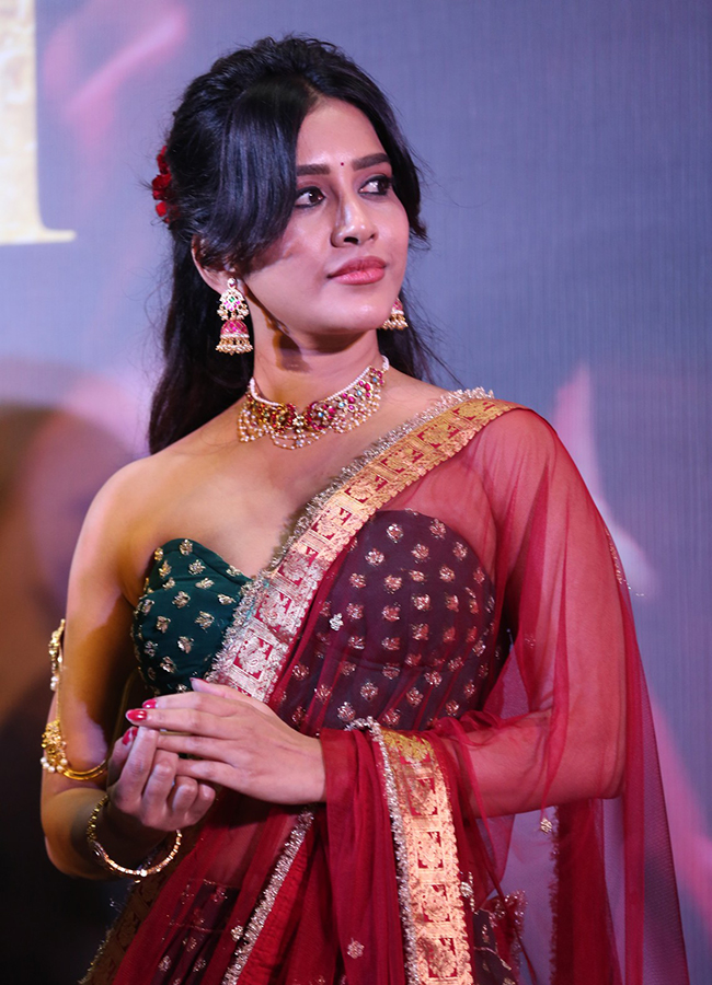 Tollywood Actress Nabha Natesh Latest HD Photos6