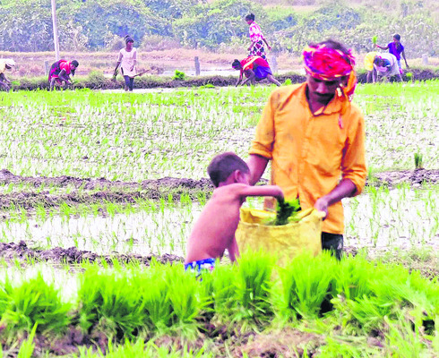 ● చిట్టి చేతులు.. గట్టి చేతలు ! 2