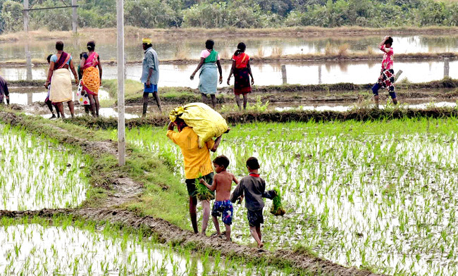 ● చిట్టి చేతులు.. గట్టి చేతలు ! 1