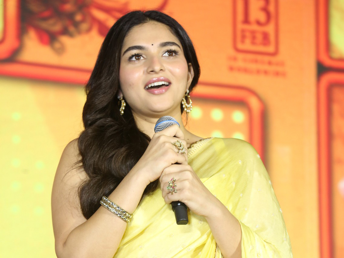 Vishwak Sen Funky Movie Pre Release Prees Meet13