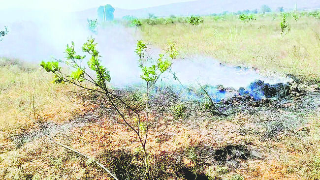 బత్తాయి తోటకు నిప్పు పెట్టిన టీడీపీ వర్గీయులు 1