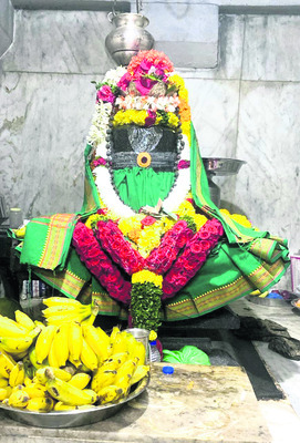 మహాశివరాత్రికి బలివే సిద్ధం 1