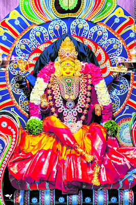 వనదుర్గాదేవిగా భ్రమరాంబ అమ్మవారు 1