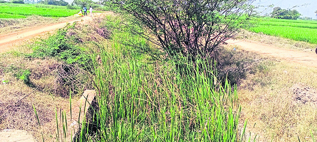 ఎండిన ఆశలు 1