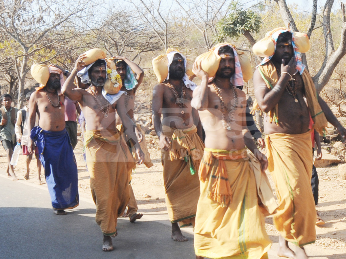 Huge Shiva Devotees Walking To Srisailam Photos8