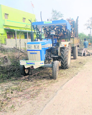 పల్లె ప్రకృతి వనంపై గొడ్డలి వేటు1