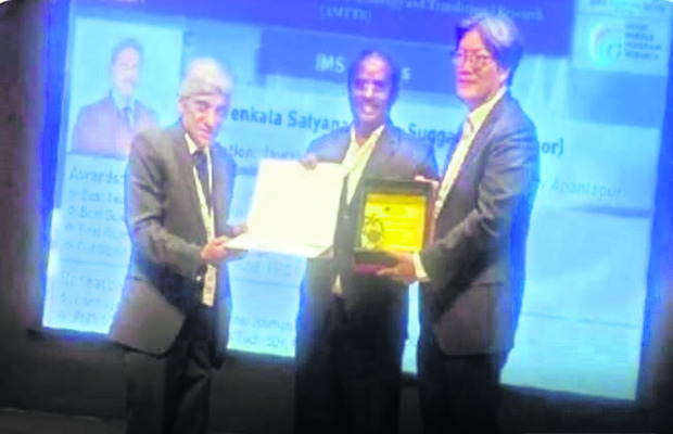 కుక్కల దాడిలో  30 గొర్రెల మృతి 2