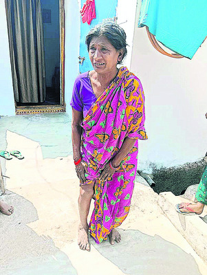 పిచ్చి కుక్కలు పీక్కు తింటున్నాయి... 2