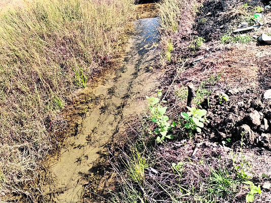 మిర్చి రైతు కన్నీరు1