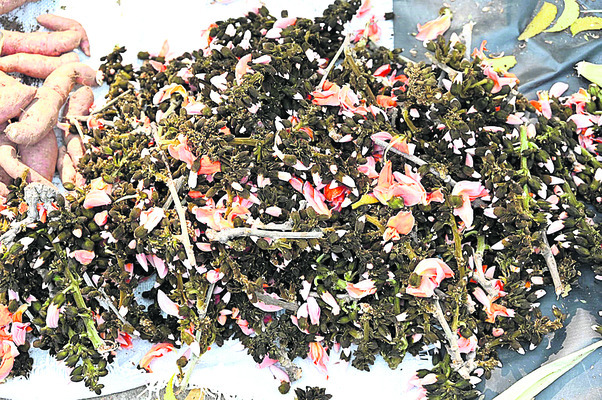 మార్కెట్లో రద్దీ.. ఆలయాలు ముస్తాబు3