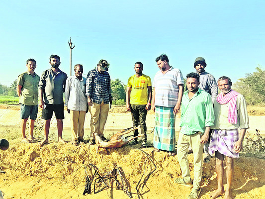 హంద్రీనీవా కాలువలో  దుప్పి మృతి 
1