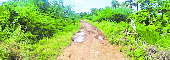 కేశవా..కనికరం లేదా! 3