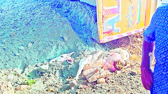 ఆవును ఢీకొని బోల్తా పడిన లారీ1