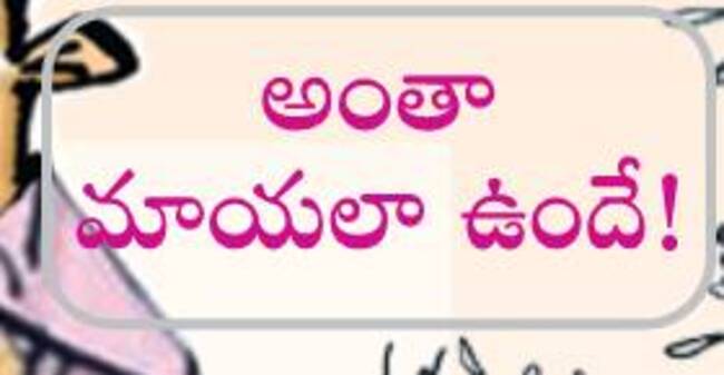 బురిడీ బడ్జెట్‌1