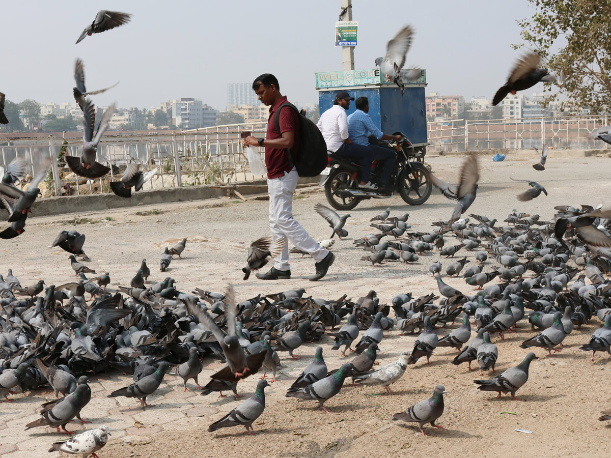 Best Photos of The Week in AP and Telangana Photo Gallery18