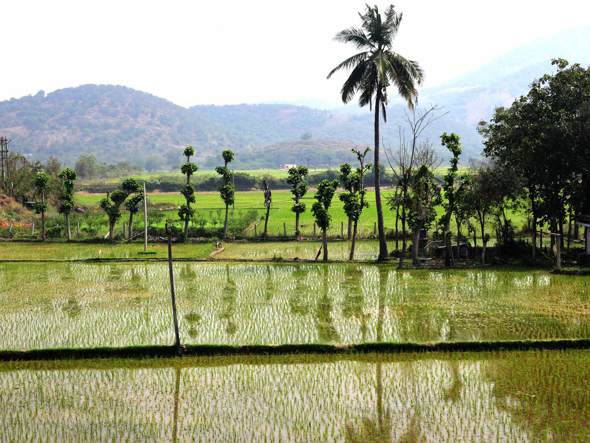 Best Photos of The Week in AP and Telangana Photo Gallery22