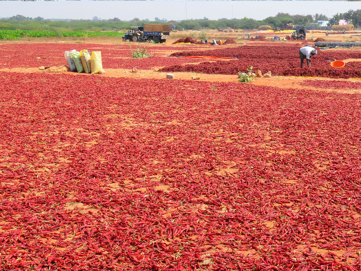 Best Photos of The Week in AP and Telangana Photo Gallery4