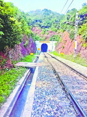 జీవిత కాలం లేటు!5