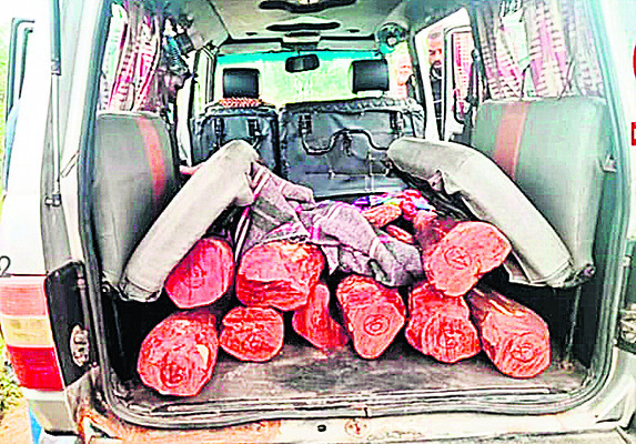 ఎర్ర దొంగలు1