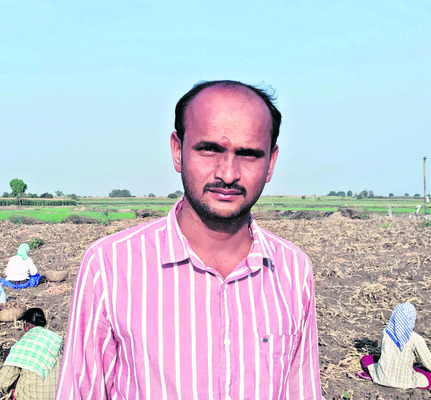 ఆశాజనకంగా పసుపు ధర2