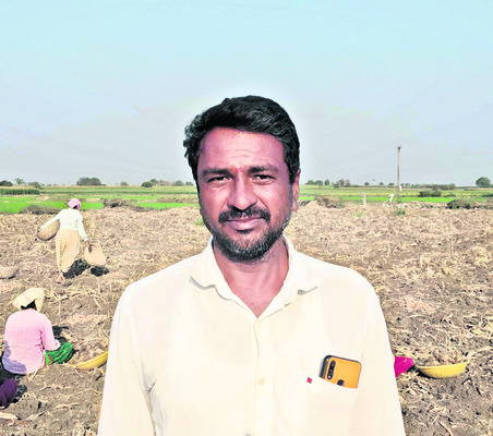 ఆశాజనకంగా పసుపు ధర1