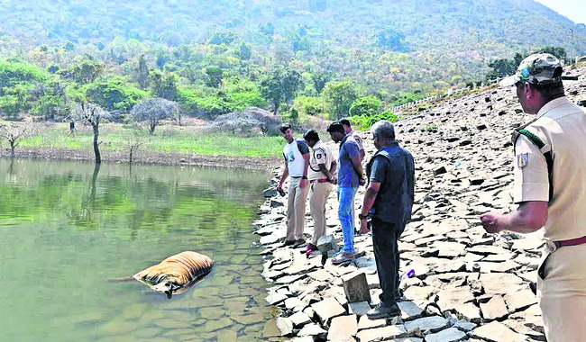 నృత్యార్పణం 1