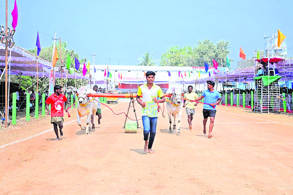 గ్రామీణ క్రీడాకారుల ప్రతిభను వెలికితీయాలి
1
