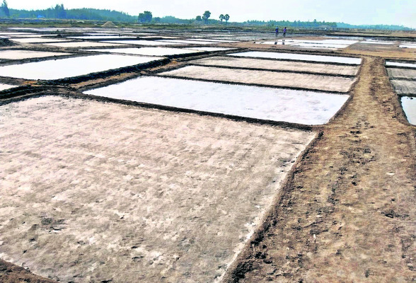 సంక్షోభంలో ఉప్పు సాగు 2