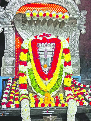 జీవిత కాలం లేటు!7