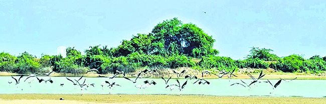 విదేశాల నుంచి వీరాపురానికి.. 1