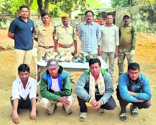 రాష్ట్రపతి నిలయంలో నృత్యప్రదర్శన
2