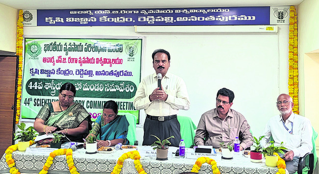 హోరాహోరీగా రాతిదూలం లాగుడు పోటీలు 1