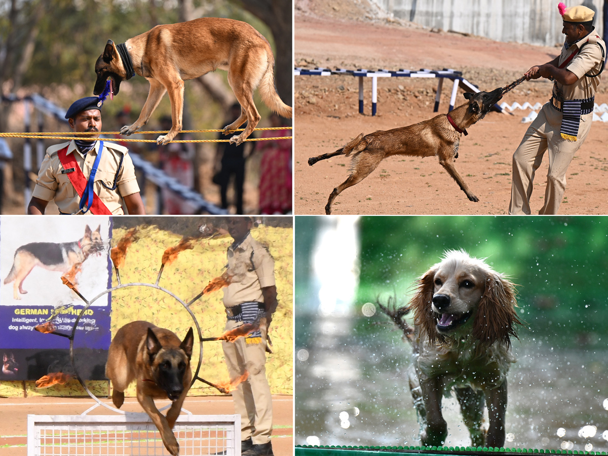  25th Batch Sniffer Dogs Squad Passing Out Parade Photos1