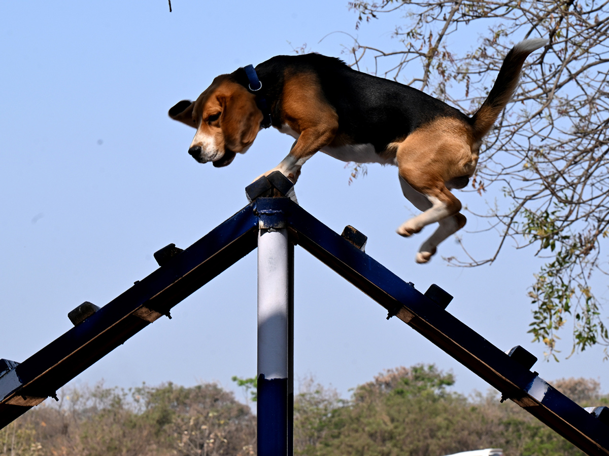  25th Batch Sniffer Dogs Squad Passing Out Parade Photos13